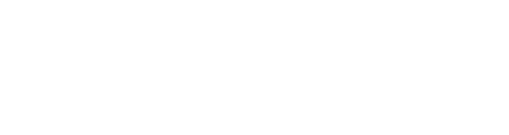 Logo Steinel – partenaire Luc SRL