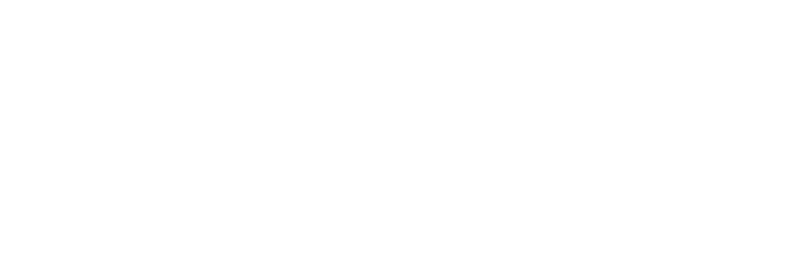 Logo Bulex – partenaire Luc SRL